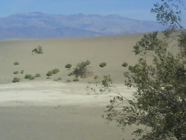 023 Death Valley Sand Dunes 13th May 2010.jpg